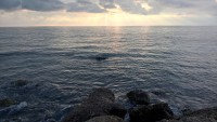 /album/galleria-foto-lido-marini/lm20-jpg/